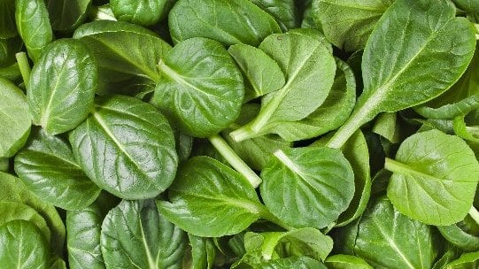 Summer Spinach Salad- Acne fighting foods